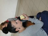 DSC01462