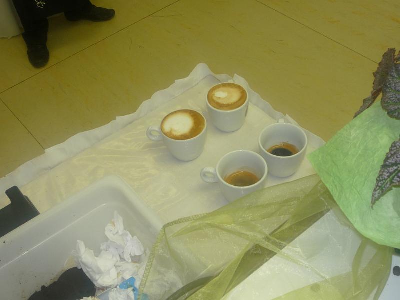 P1030651.JPG